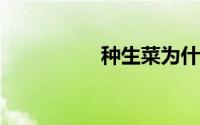 种生菜为什么又细又长
