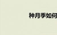 种月季如何使用羊粪肥