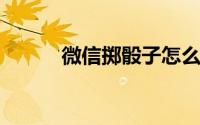 微信掷骰子怎么掷到想要的点数