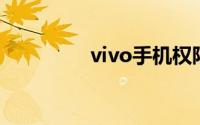 vivo手机权限管理在哪里