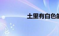 土里有白色的小虫怎么办