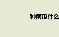 种南瓜什么时候剪老叶