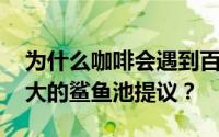 为什么咖啡会遇到百吉饼 并拒绝有史以来最大的鲨鱼池提议？