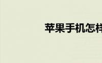 苹果手机怎样设置5G网络