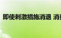 即使刺激措施消退 消费者支出仍将保持强劲