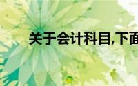 关于会计科目,下面的说法是正确的()