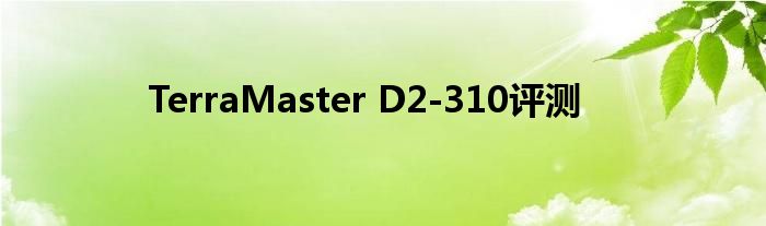 TerraMaster D2