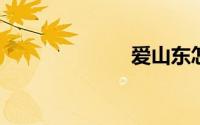 爱山东怎样注册