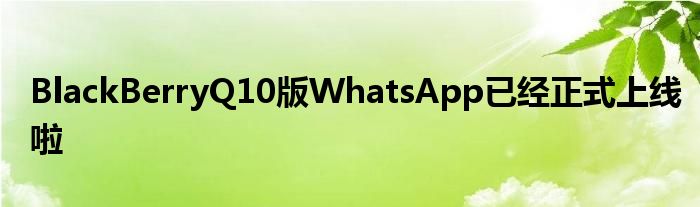 BlackBerryQ10版WhatsApp已经正式上线啦