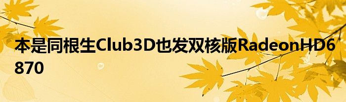 本是同根生Club3D也发双核版RadeonHD6870