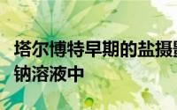 塔尔博特早期的盐摄影过程包括将纸浸入氯化钠溶液中