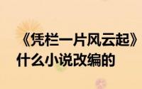 《凭栏一片风云起》有原著吗 电视剧是根据什么小说改编的