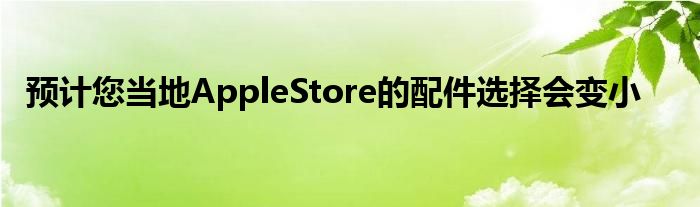 预计您当地AppleStore的配件选择会变小