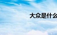 大众是什么样的大众？