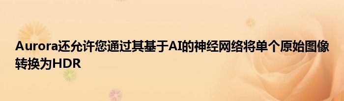 Aurora还允许您通过其基于AI的神经网络将单个原始图像转换为HDR
