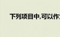 下列项目中,可以作为会计的会计主体()