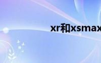 xr和xsmax哪个值得买