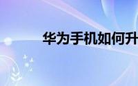 华为手机如何升级EMUI11系统