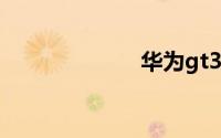 华为gt3pro多重