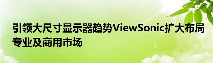 引领大尺寸显示器趋势ViewSonic扩大布局专业及商用市场