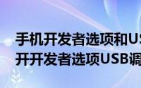 手机开发者选项和USB调试 安卓手机如何打开开发者选项USB调试