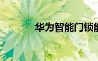 华为智能门锁能和电视连接吗