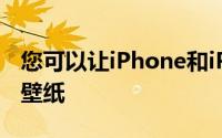 您可以让iPhone和iPad每天自动更改主屏幕壁纸