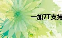 一加7T支持双卡双待吗