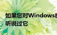 如果您对Windows感到兴奋那么您可能已经听说过它