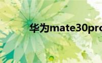 华为mate30pro屏幕是三星的吗