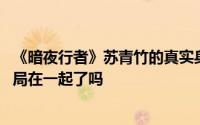 《暗夜行者》苏青竹的真实身份是什么 苏青竹结局和骆翔结局在一起了吗