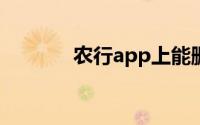 农行app上能删除明细记录吗