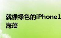 就像绿色的iPhone12不完全是绿色一样它是海藻