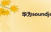 华为soundjoy尺寸是多少