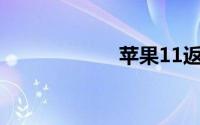 苹果11返回键在哪