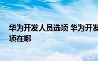 华为开发人员选项 华为开发者模式怎么开 华为开发人员选项在哪
