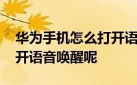 华为手机怎么打开语音输入 华为手机怎么打开语音唤醒呢