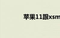 苹果11跟xsmax有什么区别