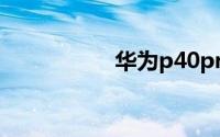 华为p40pro有OTG吗