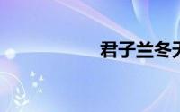 君子兰冬天会冻死吗