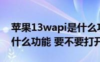 苹果13wapi是什么功能要不要打开 wapi是什么功能 要不要打开 