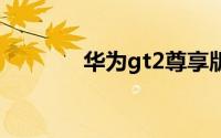 华为gt2尊享版和标准版区别
