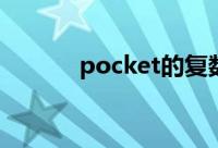 pocket的复数（pocketdisk）