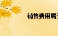 销售费用属于费用要素()