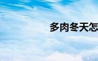 多肉冬天怎么养不会死