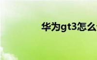 华为gt3怎么设置抬腕亮屏