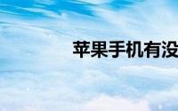 苹果手机有没有手写输入法
