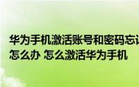 华为手机激活账号和密码忘记了怎么办 忘记了华为账号密码怎么办 怎么激活华为手机