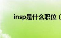 insp是什么职位（insp是什么故障）