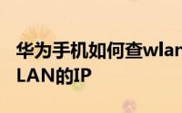 华为手机如何查wlan密码 华为手机怎么查WLAN的IP